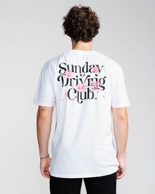 SDC™ - SAKURA