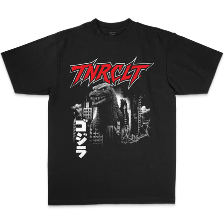 BIG CITY OVERSIZED BOX TEE