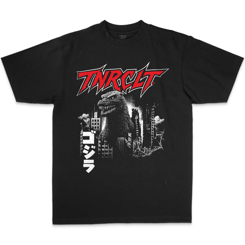 BIG CITY OVERSIZED BOX TEE