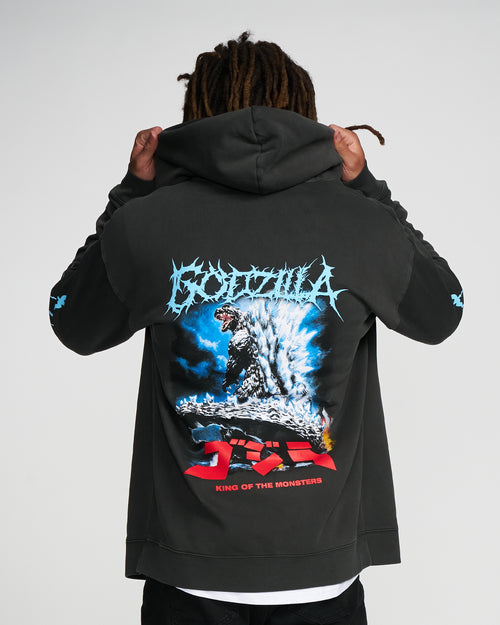 MONSTERS VINTAGE RELAXED ZIP HOODIE