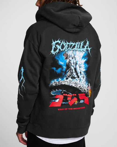 MONSTERS VINTAGE RELAXED ZIP HOODIE